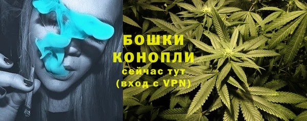 эйфоретик Богородицк