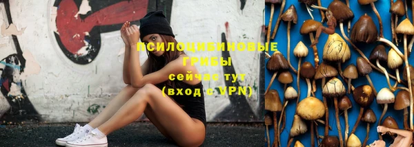 эйфоретик Богородицк