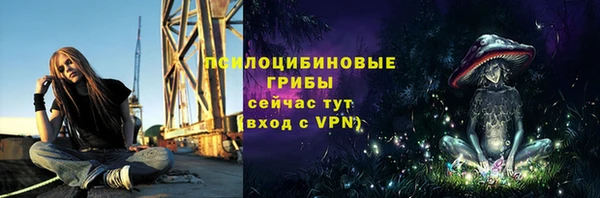эйфоретик Богородицк